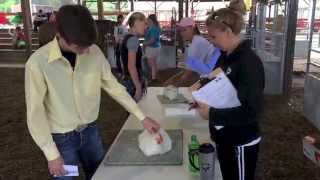 FAIR 2014: Coon named Showman of Showmen