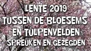 2019 Lente Spreuken en gezegden