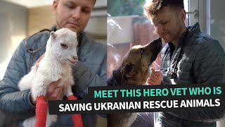 Hero Veterinarian Saves Ukrainian Rescue Dogs | Feel Good Story