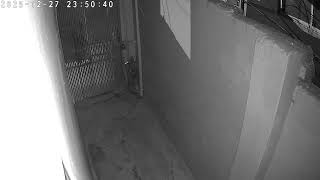 Security cam timelapse 20251227