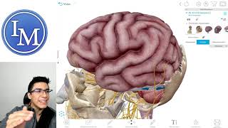 Anatomía | Sistema Nervioso | Inductivo a la Facultad de Medicina