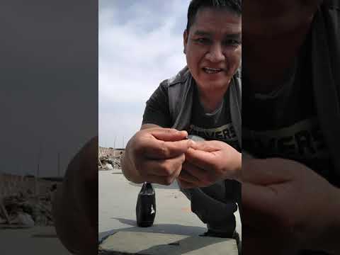 Taladro XTD 40V 4000mah inalambrico brushless (Desarmado parcial) - YouTube