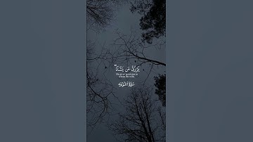 ٱللَّهُ لَطِيفُۢ بِعِبَادِهِۦ ) سورة الشورى عبدالباسط عبدالصمد #اكسبلور #ارح_قلبك #القرآن_الكريم