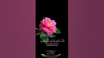 صباح الخير🌺 حالات واتس اب مقاطع قصيره🌺 قران كريم وإذا سألك عبادي عني🌺عبد الباسط عبد الصمد🌺بدون حقوق