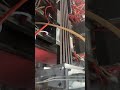 How to make Co-extrusion PE WPC wall panel ? #machine #wpcmachine #wpcpanel #woodplasticcomposite