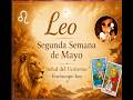 Leo Estás Agotado!!!!