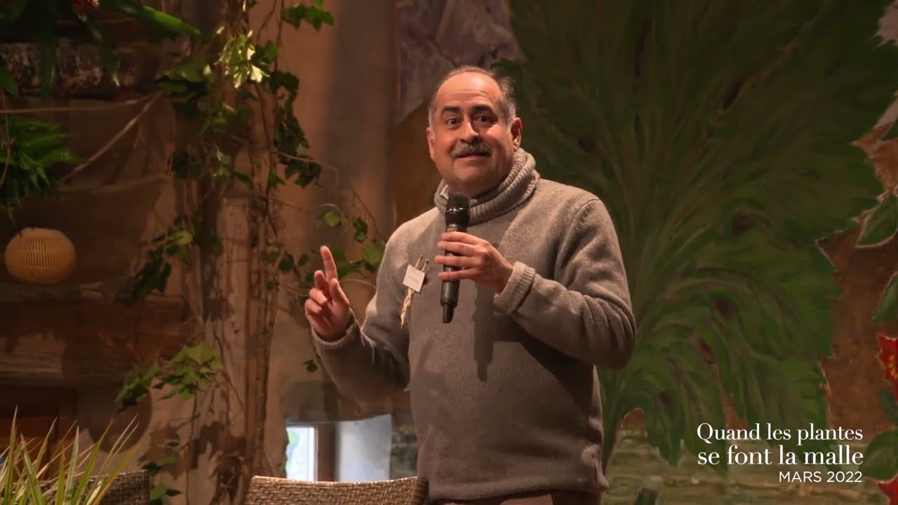 La tragique histoire des plantes éteintes depuis 1750 : que raconte l’herbier de Genève ?