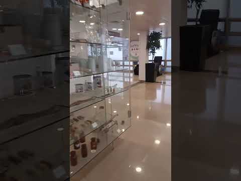משלוח מסמכים רפואיים דחופים מחיפה לבית החולים תל השומר