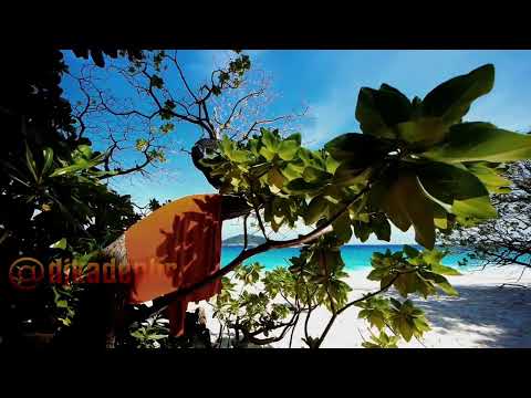 DEEP HOUSE - SUMMER REMIX 2026
