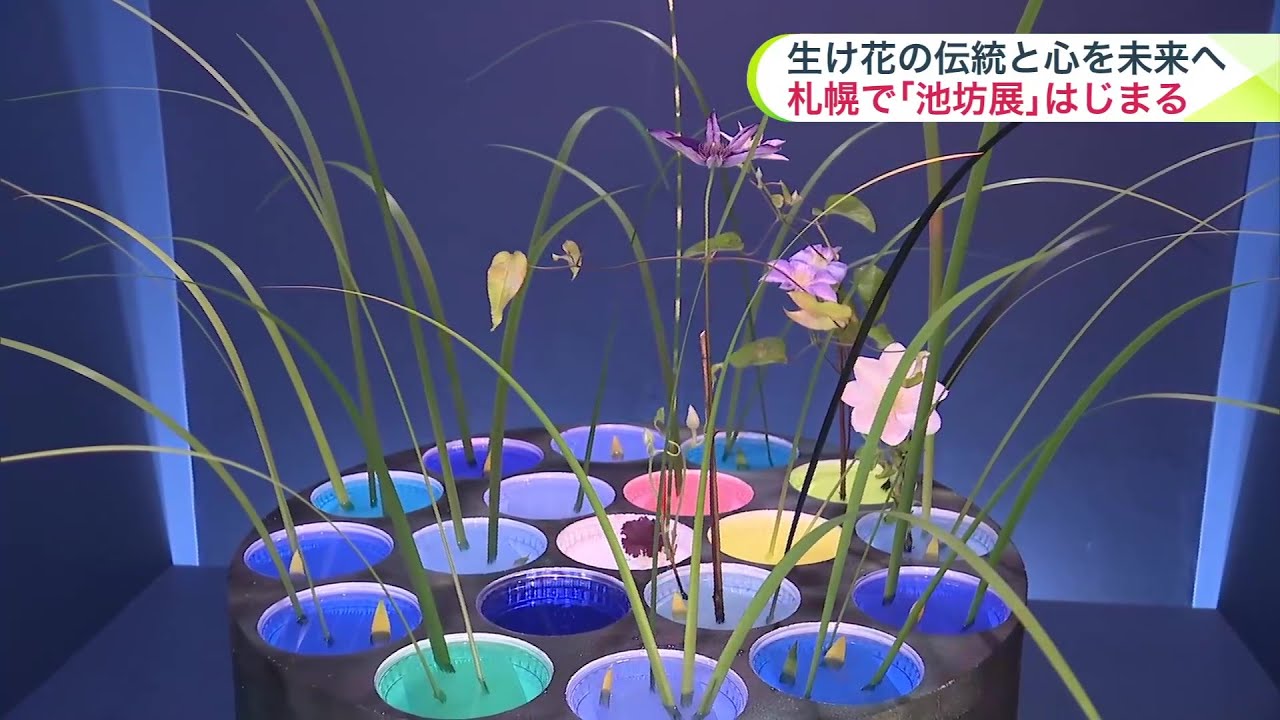 華道の伝統と心を未来へ】「池坊」札幌支部95周年記念花展『未来咲』が