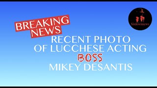 Latest photo of Lucchese acting boss Mikey DeSantis