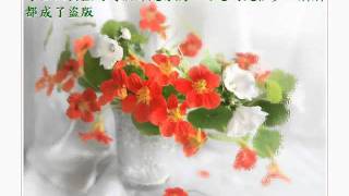 ，，~~ 05 06 17 10 wmv