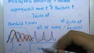 ormBio ver2 : ระบบประสาท ตอน04