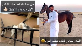 لأول مره حل اسوء عادة تصيب الخيل ( عادة شفط الهواء ) اول حل يتم توثيقه في عالم اليوتيوب 😍🤩