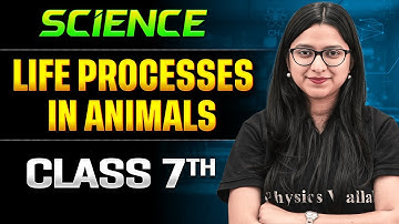 Life Processes in Animals Class 7 One Shot || Science || Ankita Ma