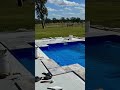 ✨ From Backyard to Dream Retreat ✨#shortsviral #fibreglasspool #sunsetview