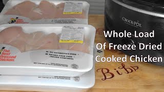 Full Load Of Cooked Chicken Freeze Dried Ep332