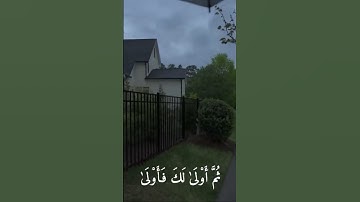 سبحان الله و بحمده  #quran #تلاوات #تلاوة #تلاوة_خاشعة #تلاوة_هادئة #قرآن #قران #قران_كريم