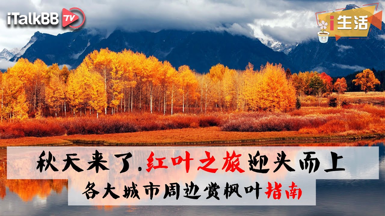 秋天来了 红叶之旅迎头而上 各大城市周边赏枫叶的好去处 Youtube