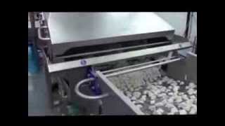 GEA (CFS) панировка MultiDrum работа курица