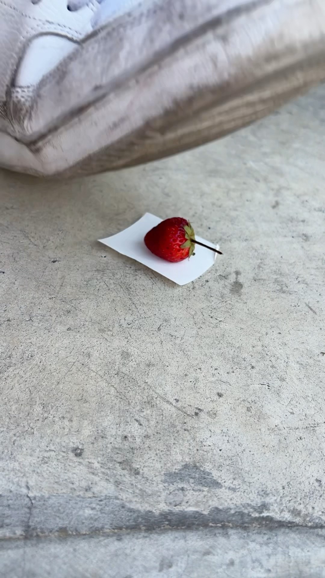 Strawberry Oops ?????