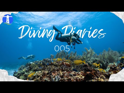 Diving Diaries 005: Sabang Point | West Escarceo