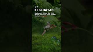 Download Lagu Kesehatan #reels #motivasi #katahatimotivasi #motivasidiri #quotes MP3