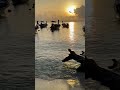 Sunrise 🌅 @ Koh Lipe