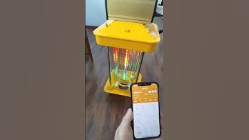 Internet of Things Shock Insecticide Lamp, Connecting to Mobile Phone Demo Video -11-20230621