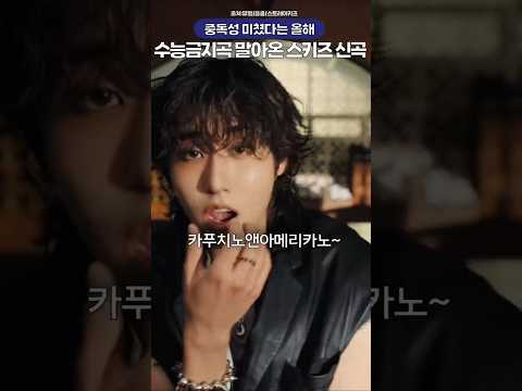 <strong>중독성</strong> 미쳤다는 올해 수능금지곡 말아온 스키즈 신곡