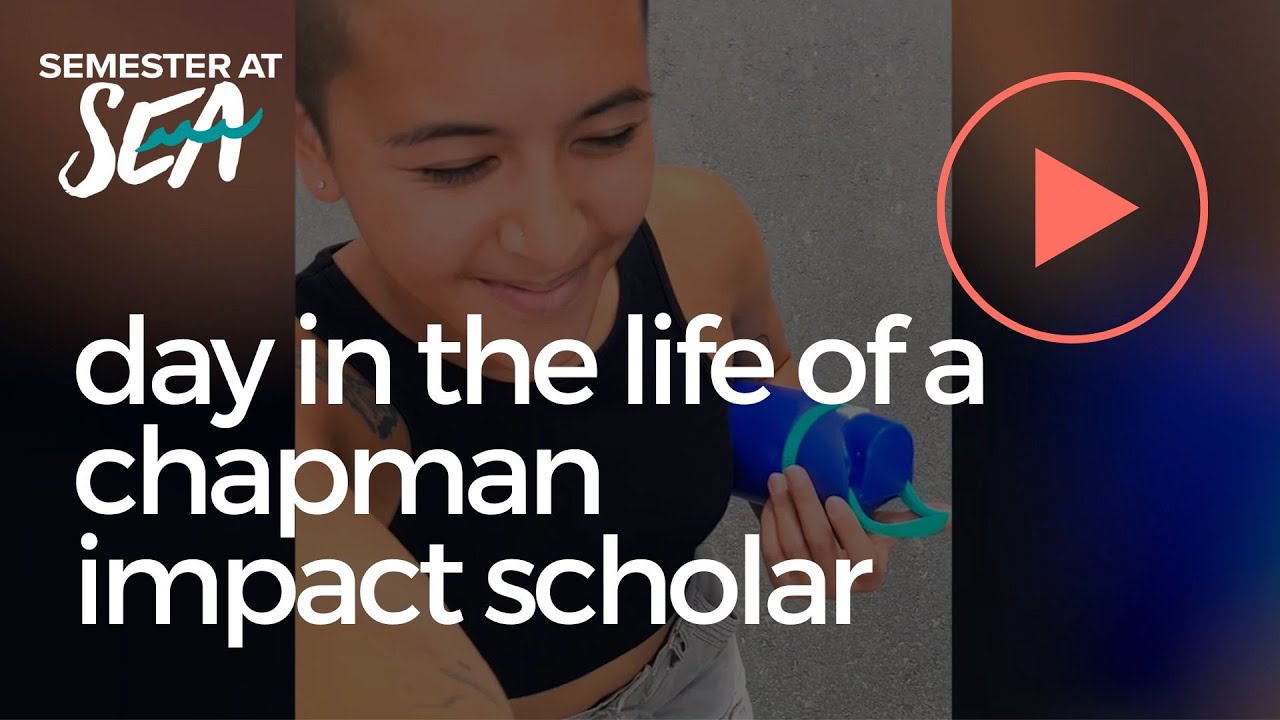 Day in the Life of a Chapman Impact Scholar! Study Abroad on Semester at Sea YouTube
