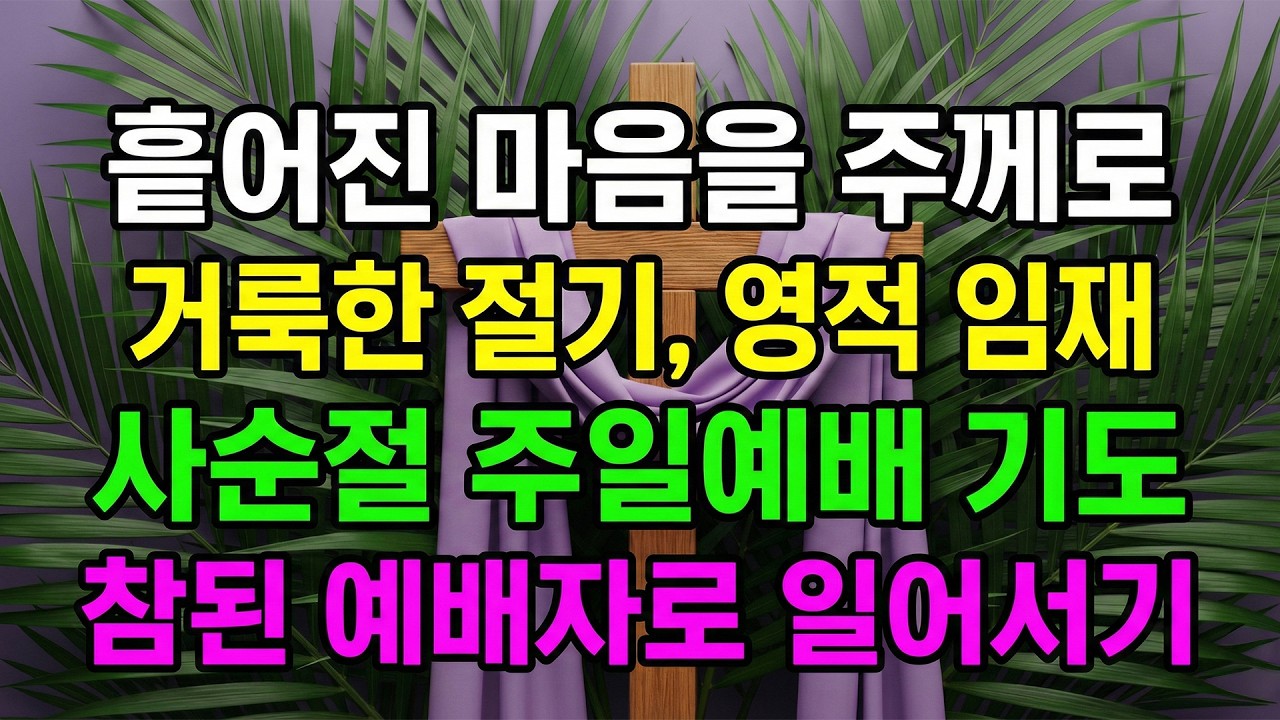 [사순절 주일 예배 기도] 흩어진 마음을 주께로 | 거룩한 절기, 영적 임재 사순절 주일 대표기도 #사순절기도 #항상기도 #주일대표기도 #사순절주일예배