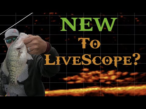 New to Livescope? (lets catch some Crappie) 