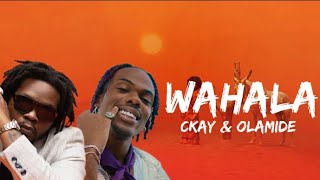 Ckay - Wahala feat. Olamide (lyrics video) Resimi