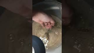 Рыбаньки!)) Это Наннакара?!