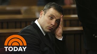 ‘Blade Runner’ Oscar Pistorius up for parole