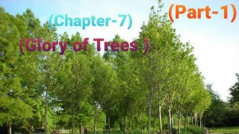 EVS; Class-5th; (Chapter-7);(Part-1);(Glory of Trees 🌳🌴)