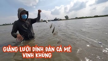 Giăng lưới mùa nước nổi ở miền tây, và cái kết trúng đàn cá mè ving khung
