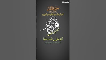 #قرآن #قران_كريم #اَلَذِّكْرٌ_الحَكِيمٌ #اكسبلور #viralvideo سورة الملك