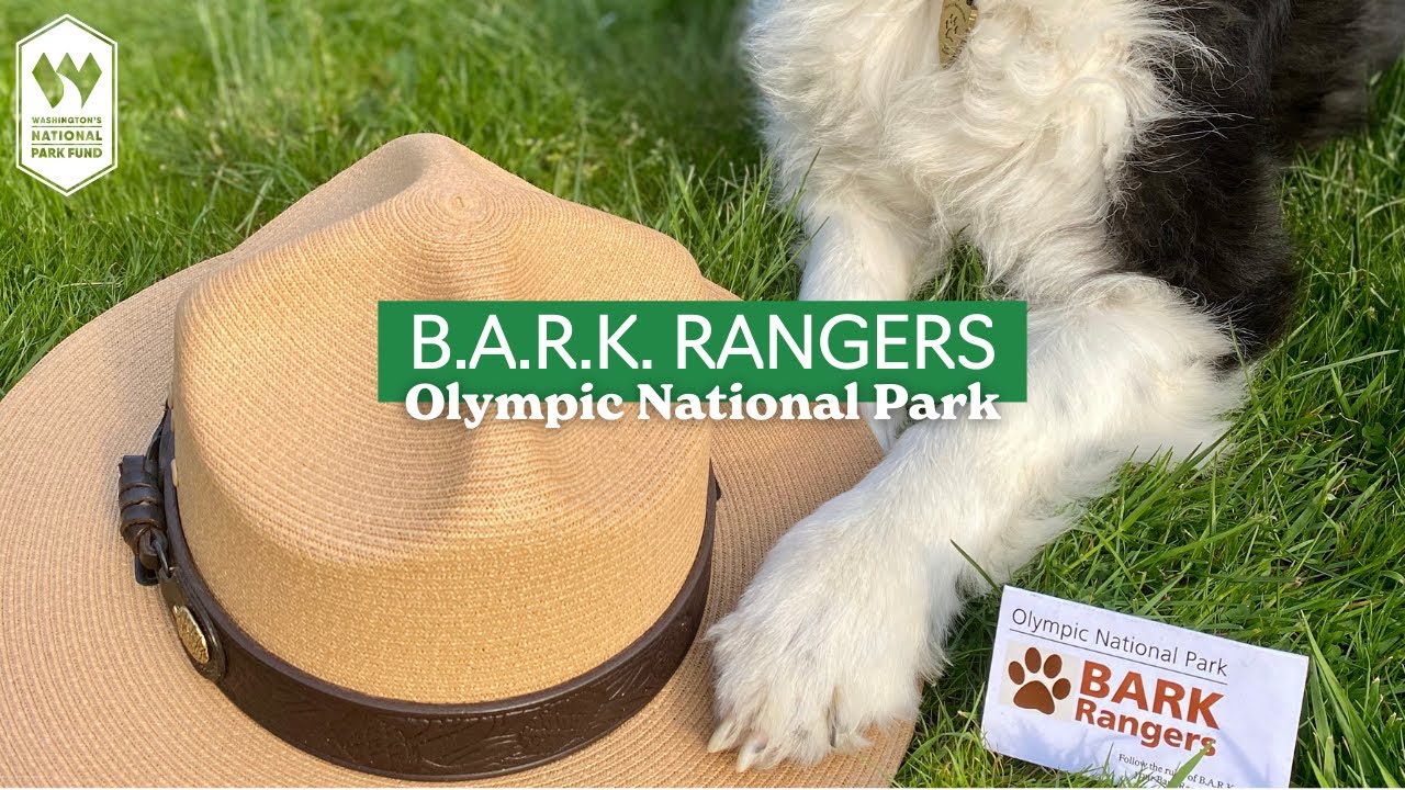 B.A.R.K. Ranger Dogs of Olympic National Park 