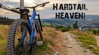 Hardtail MTB Heaven  One Giant Leap  Ragley Blue Pig #hardtailmtb #onegiantleap #fkdlife