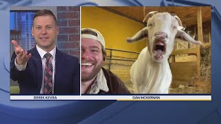 Saved By The Barn star Dan McKernan's interview crashed by his goat