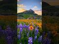 Places On Earth that don’t feel real part 1 #travel #nature #new #explore #foryou #viral
