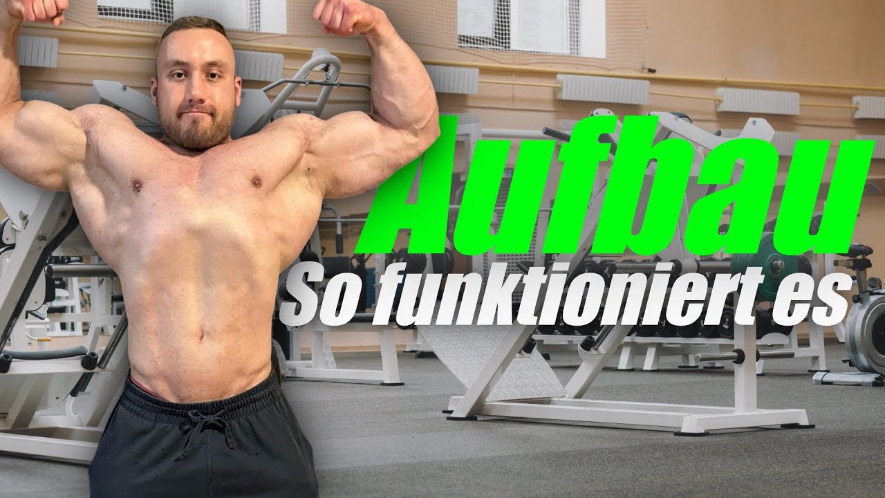 Das MUSST du im MUSKELAUFBAU beachten | #erklärbulle