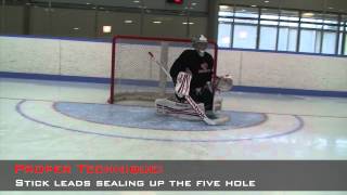 Breakaway Video (Goaltending)