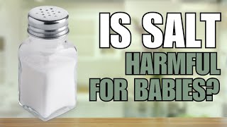 Pediatrician Discusses: Sugar, Salt, and Seasonings for Your Infant, Toddler & Child