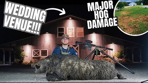 Texas Wedding Venue DESTROYED By HOGS... Thermal Hunt Drops MONSTER Boar!!! AGM Rattler V3 TS25-384