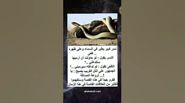 الحكمة بين النسر و الثعبان 