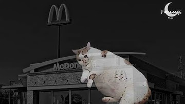 gta iv loading screen cats edition ft capybara