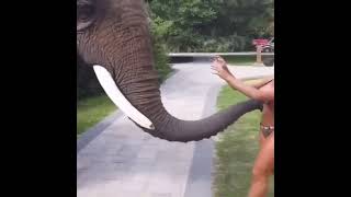 Nose for thicc